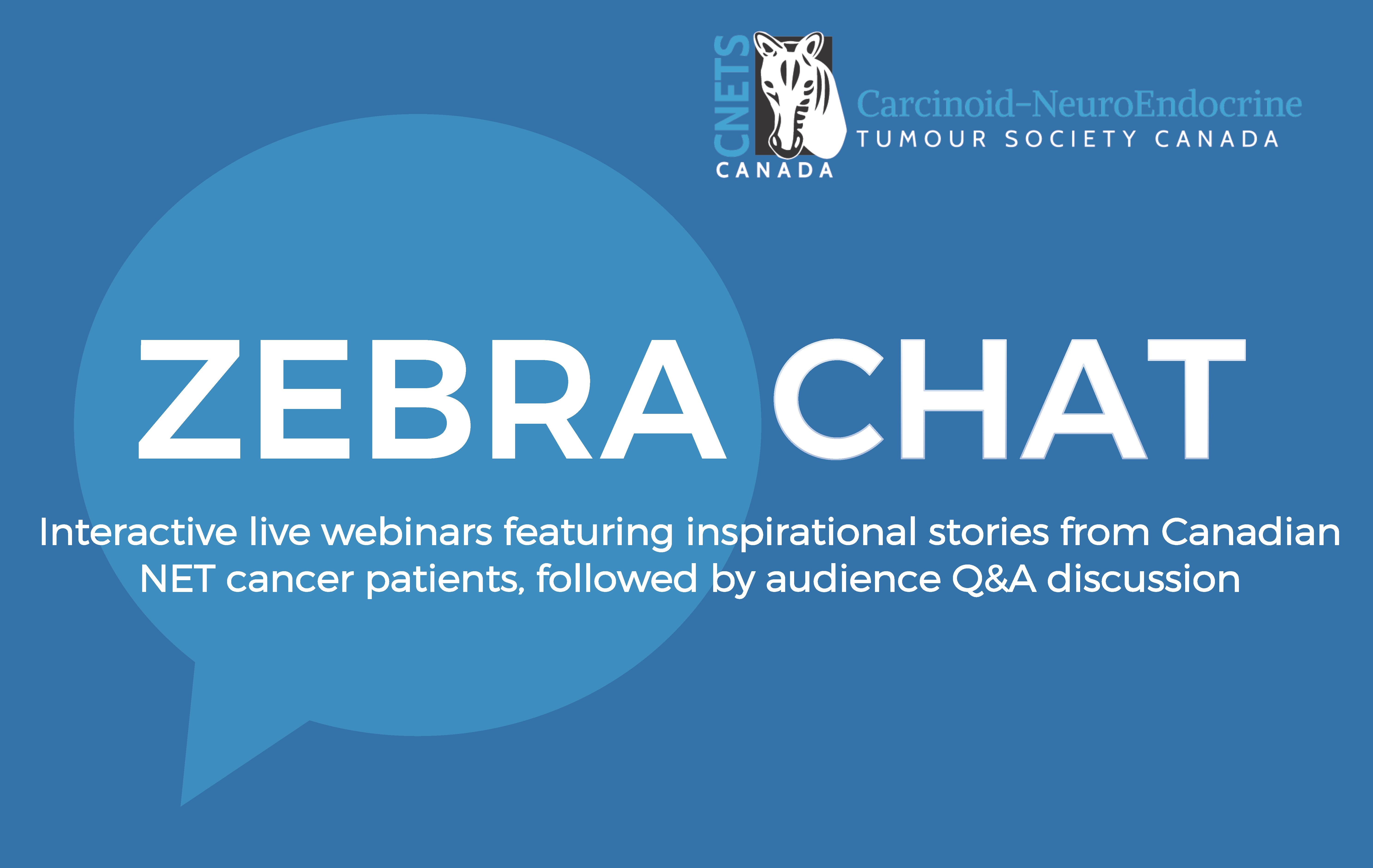 Zebra Chat intro